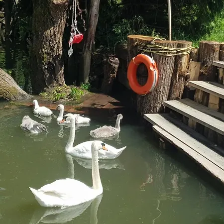 بيت للعطل River Ljubljanica ليوبليانا