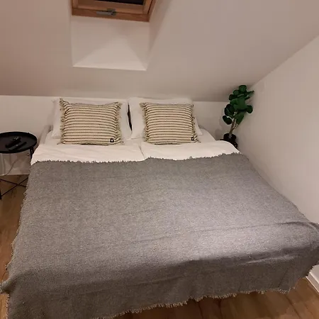 River Ljubljanica * ليوبليانا