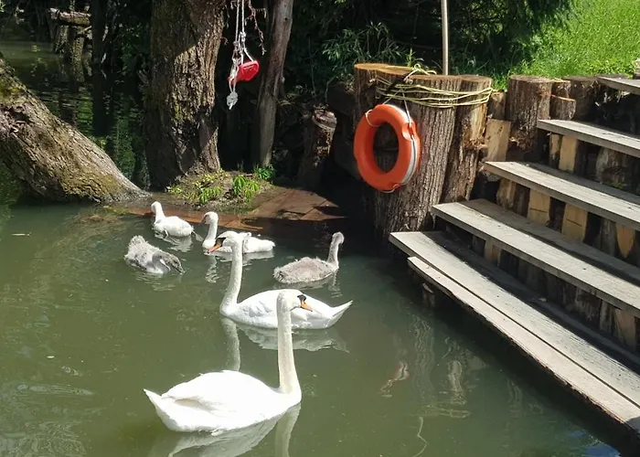 펜션 River Ljubljanica 류블랴나